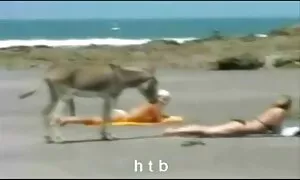 مقامات گمرک سکس دکتر برگزار بازرسی