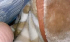 جوانان همچنین می دانند چگونه زبان سکس با دکتر واقعی را بسازند